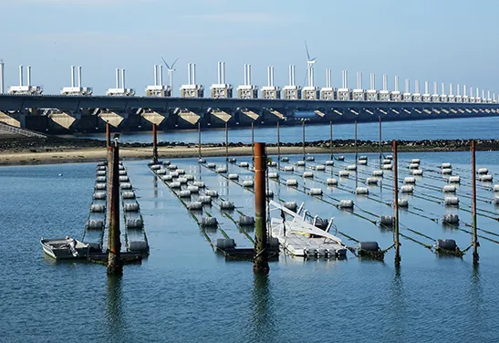 china energy storage system
