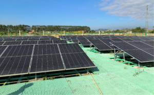 Commercial solar PV array
